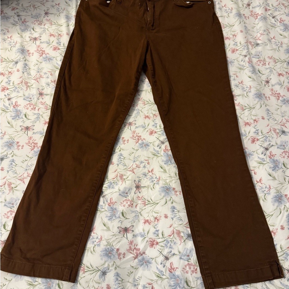 STS Blue Brown Straight Leg Pants